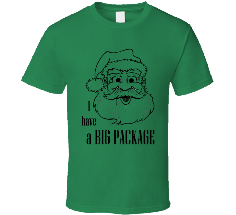 I Have A Big Package Funny Christmas Shirt