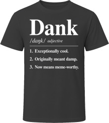 Dank Definition Funny Gen Z Gift T Shirt