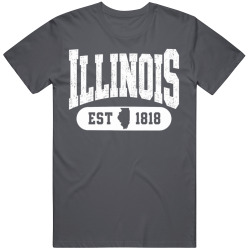 ILLINOIS Collegiate Arch. Vintage Varsity Athletic State Pride T Shirt