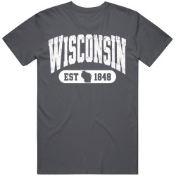 WISCONSIN Collegiate Arch. Vintage Varsity Athletic State Pride T Shirt