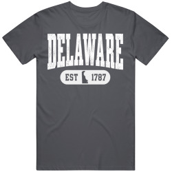 DELAWARE Collegiate Arch. Vintage Varsity Athletic State Pride T Shirt