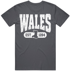 WALES Collegiate Arch. Vintage Varsity Regional Pride T Shirt
