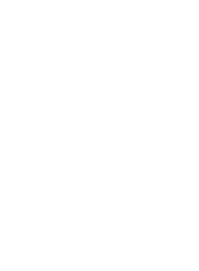 suzuki vitara t shirt