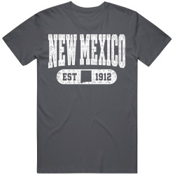 NEW MEXICO Collegiate Arch. Vintage Varsity Athletic State Pride T Shirt