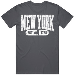 NEW YORK Collegiate Arch. Vintage Varsity Athletic State Pride T Shirt