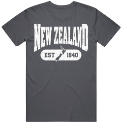 NEW ZEALAND Collegiate Arch. Vintage Varsity Regional Pride T Shirt