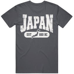 JAPAN Collegiate Arch. Vintage Varsity Regional Pride T Shirt