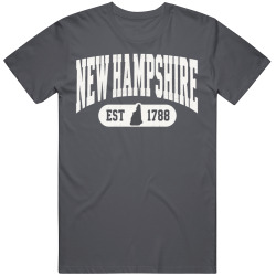 NEW HAMPSHIRE Collegiate Arch. Vintage Varsity Athletic State Pride T Shirt