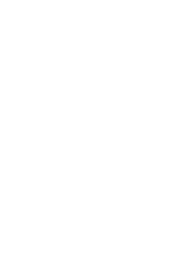 suzuki vitara t shirt