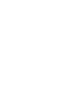 suzuki vitara t shirt