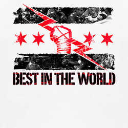 CM Punk Best In The World Wrestling T Shirt 89116